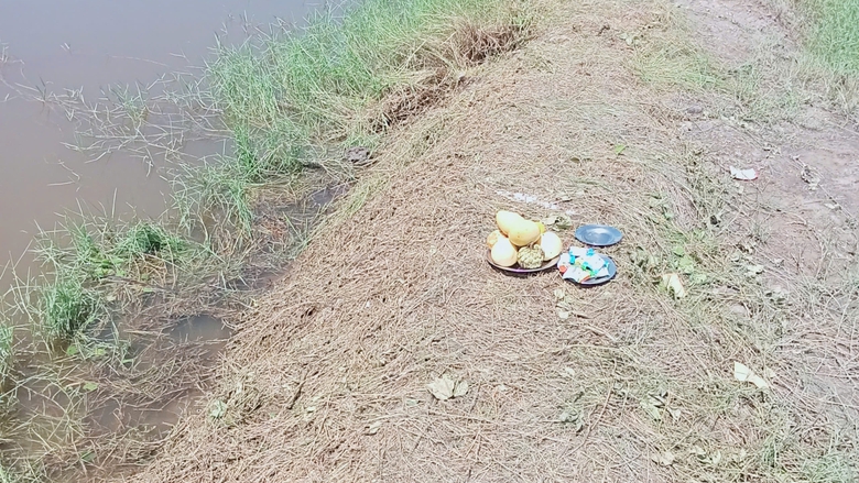 C&agrave; Mau: Người đ&agrave;n &ocirc;ng bị s&eacute;t đ&aacute;nh tử vong khi l&agrave;m vườn- Ảnh 1.