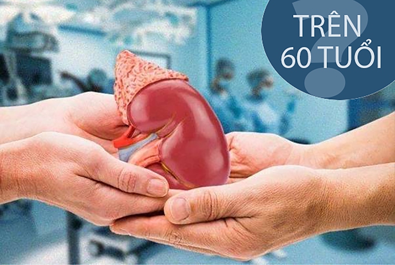 Người tr&ecirc;n 60 tuổi c&oacute; hiến thận được kh&ocirc;ng?- Ảnh 1.