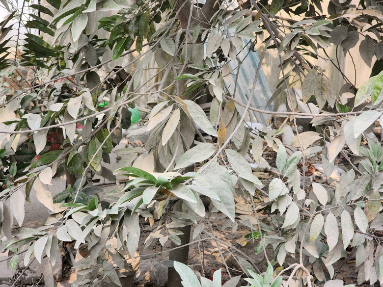 Tuyên Quang: Chất thải xi măng phủ kín bãi bồi ven sông, người dân lo sợ ô nhiễm- Ảnh 20. Tuyên Quang: Chất thải xi măng phủ kín bãi bồi ven sông, người dân lo sợ ô nhiễm- Ảnh 20.