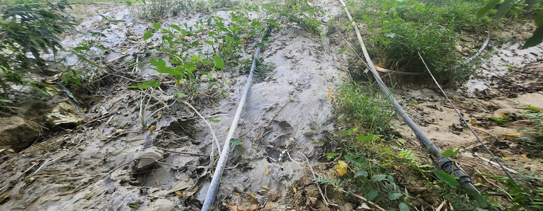 Tuyên Quang: Chất thải xi măng phủ kín bãi bồi ven sông, người dân lo sợ ô nhiễm- Ảnh 4. Tuyên Quang: Chất thải xi măng phủ kín bãi bồi ven sông, người dân lo sợ ô nhiễm- Ảnh 4.