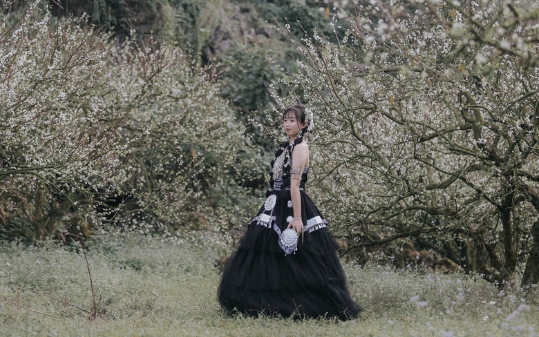 Đẹp nao l&ograve;ng hoa mận nở sớm ở cao nguy&ecirc;n Mộc Ch&acirc;u