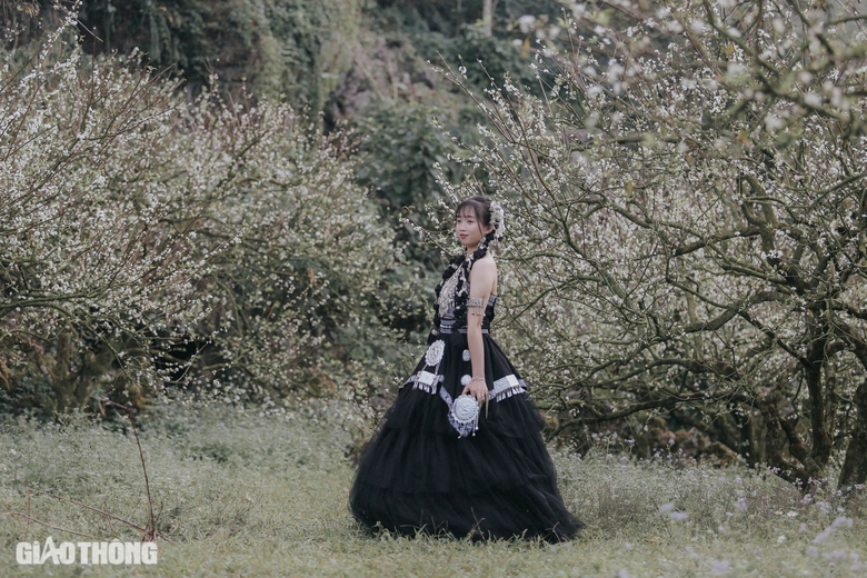 Đẹp nao l&ograve;ng hoa mận nở sớm ở cao nguy&ecirc;n Mộc Ch&acirc;u- Ảnh 6.