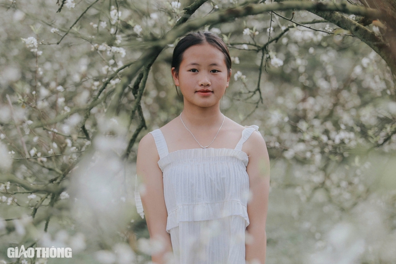 Đẹp nao l&ograve;ng hoa mận nở sớm ở cao nguy&ecirc;n Mộc Ch&acirc;u- Ảnh 9.