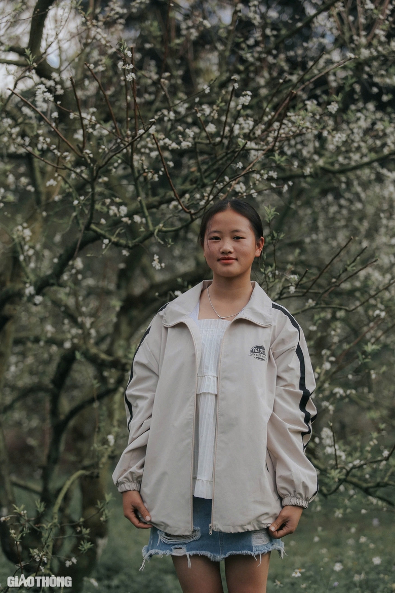 Đẹp nao l&ograve;ng hoa mận nở sớm ở cao nguy&ecirc;n Mộc Ch&acirc;u- Ảnh 11.