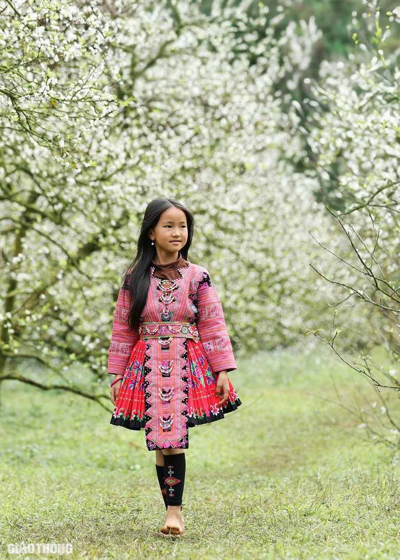 Đẹp nao l&ograve;ng hoa mận nở sớm ở cao nguy&ecirc;n Mộc Ch&acirc;u- Ảnh 12.