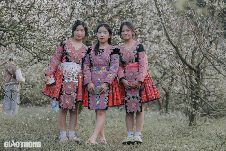 Đẹp nao l&ograve;ng hoa mận nở sớm ở cao nguy&ecirc;n Mộc Ch&acirc;u- Ảnh 10.