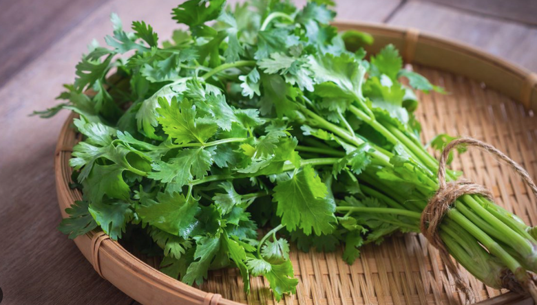 Loại rau gia vị gi&uacute;p kiểm so&aacute;t đường huyết tốt nhưng c&oacute; 5 nh&oacute;m người kh&ocirc;ng n&ecirc;n ăn- Ảnh 1.