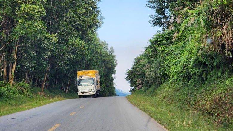 Những tuyến đường huyện n&agrave;o ở Quảng Ng&atilde;i vừa được n&acirc;ng cấp th&agrave;nh đường tỉnh?- Ảnh 1.