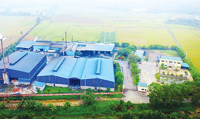 Hải Dương phạt nặng một c&ocirc;ng ty về m&ocirc;i trường g&acirc;y &ocirc; nhiễm - Ảnh 1.