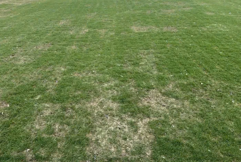 Sân Mỹ Đình có đủ điều kiện tổ chức các trận đấu của tuyển Việt Nam tại AFF Cup?- Ảnh 3. Sân Mỹ Đình có đủ điều kiện tổ chức các trận đấu của tuyển Việt Nam tại AFF Cup?- Ảnh 3.