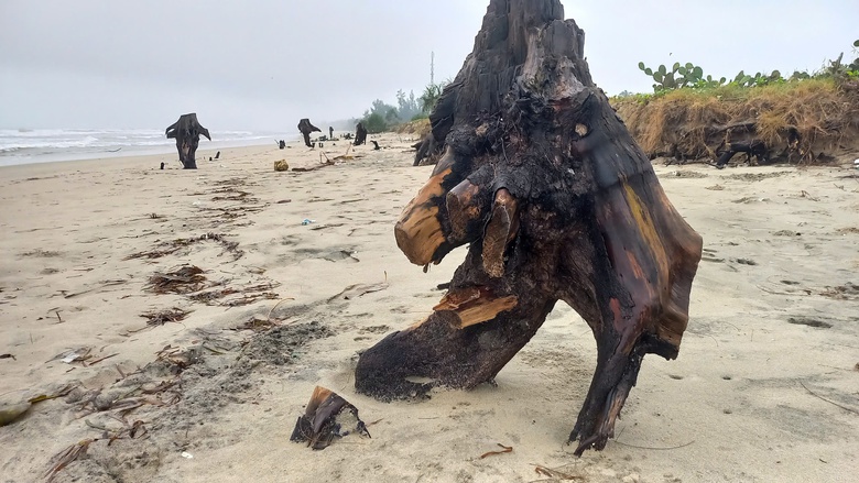 Quảng Ngãi: Sạt lở bờ biển uy hiếp đường giao thông, nhà máy lọc dầu- Ảnh 4. Quảng Ngãi: Sạt lở bờ biển uy hiếp đường giao thông, nhà máy lọc dầu- Ảnh 4.