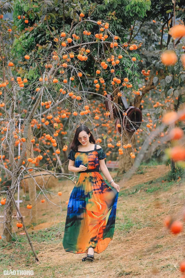 Mê mẩn vườn hồng chín mọng ở Mộc Châu, du khách đổ xô săn ảnh đẹp- Ảnh 10. Mê mẩn vườn hồng chín mọng ở Mộc Châu, du khách đổ xô săn ảnh đẹp- Ảnh 10.