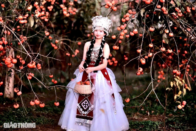 Mê mẩn vườn hồng chín mọng ở Mộc Châu, du khách đổ xô săn ảnh đẹp- Ảnh 13. Mê mẩn vườn hồng chín mọng ở Mộc Châu, du khách đổ xô săn ảnh đẹp- Ảnh 13.