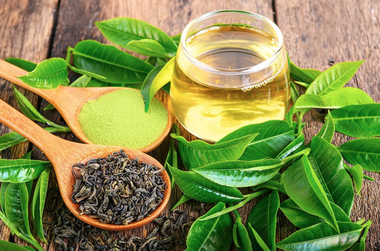 Tr&agrave; xanh cực tốt nhưng một ng&agrave;y uống bao nhi&ecirc;u t&aacute;ch tr&agrave; l&agrave; đủ? - Ảnh 1.