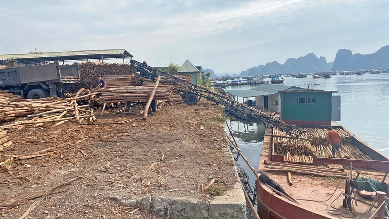 Quảng Ninh: &Ocirc; nhiễm tr&ecirc;n bờ, dưới biển ở Bến Do- Ảnh 2.