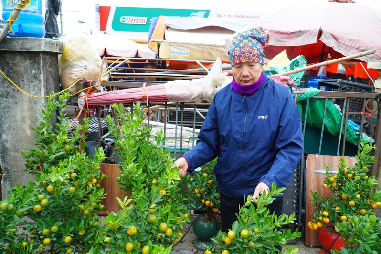 Đào khoe sắc, quất phô dáng hút khách mua về chơi Tết sớm- Ảnh 10. Đào khoe sắc, quất phô dáng hút khách mua về chơi Tết sớm- Ảnh 10.