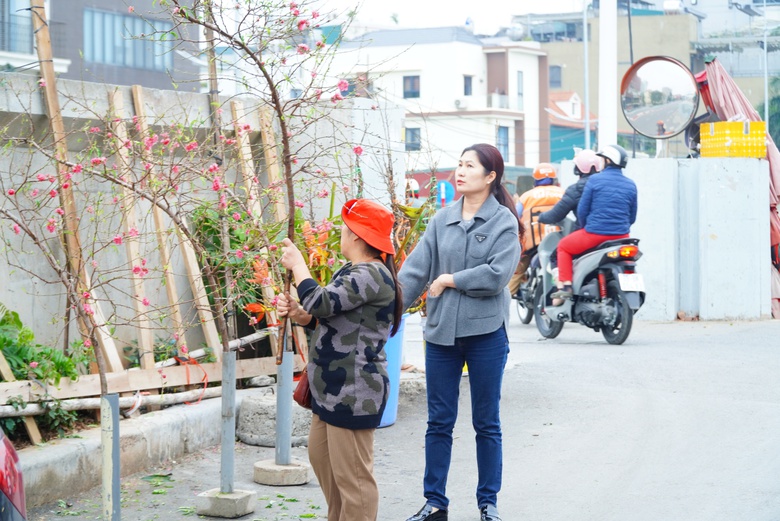 Đào khoe sắc, quất phô dáng hút khách mua về chơi Tết sớm- Ảnh 6. Đào khoe sắc, quất phô dáng hút khách mua về chơi Tết sớm- Ảnh 6.