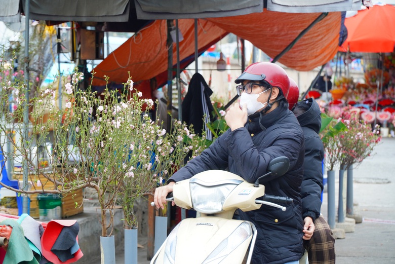 Đào khoe sắc, quất phô dáng hút khách mua về chơi Tết sớm- Ảnh 1. Đào khoe sắc, quất phô dáng hút khách mua về chơi Tết sớm- Ảnh 1.