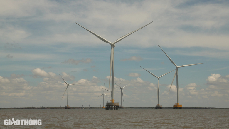 C&agrave; Mau phấn đấu đến năm 2040 xuất khẩu điện từ năng lượng t&aacute;i tạo 5.000MW- Ảnh 1.