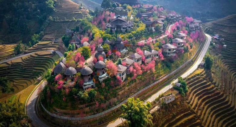 Đến Y&ecirc;n B&aacute;i, ngắm sắc hồng phủ k&iacute;n lễ hội hoa Tớ d&agrave;y v&agrave; Festival kh&egrave;n M&ocirc;ng- Ảnh 8.