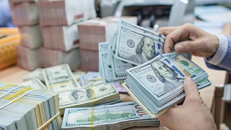 Nữ gi&aacute;m đốc tổ chức vận chuyển tr&aacute;i ph&eacute;p gần 4.000 tỷ ra nước ngo&agrave;i- Ảnh 1.