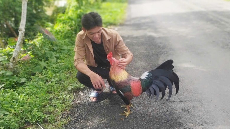 Ch&agrave;ng trai An Giang thu nhập v&agrave;i chục triệu mỗi th&aacute;ng nhờ đ&uacute;c tượng g&agrave; vịt từ xi măng- Ảnh 1.
