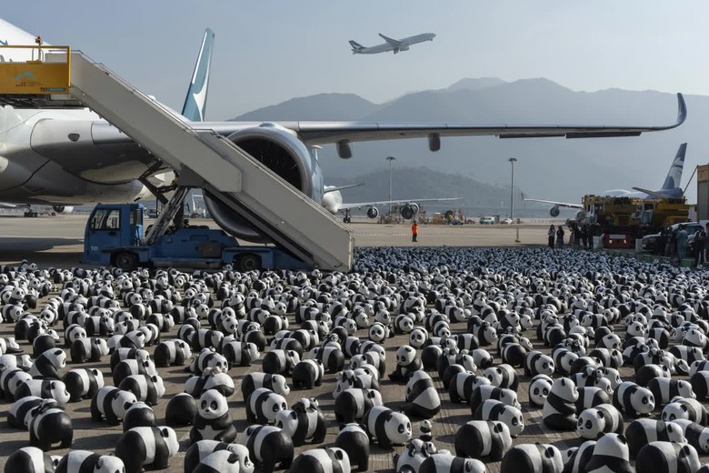 S&acirc;n bay Hong Kong (Trung Quốc) đặt h&agrave;ng ngh&igrave;n tượng gấu tr&uacute;c ch&agrave;o đ&oacute;n du kh&aacute;ch- Ảnh 1.