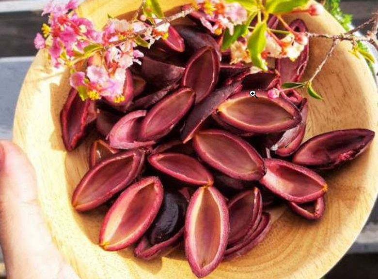 Loại quả m&agrave;u đen &iacute;t người biết, gi&uacute;p giải rượu, bảo vệ gan, chữa h&oacute;c xương- Ảnh 2.