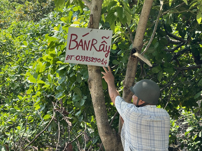 Đồng Nai sẵn s&agrave;ng phương &aacute;n giải ph&oacute;ng mặt bằng cao tốc Dầu Gi&acirc;y - T&acirc;n Ph&uacute;- Ảnh 1.