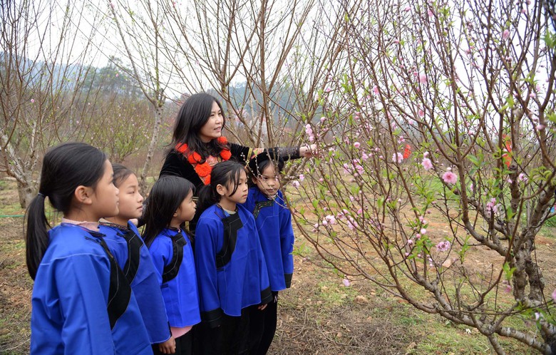 Rực rỡ Lễ hội hoa đ&agrave;o xứ Lạng- Ảnh 12.