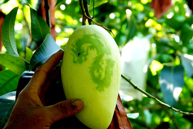 N&ocirc;ng d&acirc;n miền T&acirc;y 