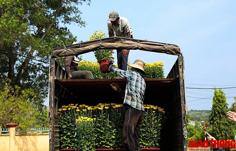 Làng hoa lớn nhất Đồng Nai tất bật vào vụ Tết, xe nườm nượp đưa hoa đi muôn nơi- Ảnh 10. Làng hoa lớn nhất Đồng Nai tất bật vào vụ Tết, xe nườm nượp đưa hoa đi muôn nơi- Ảnh 10.