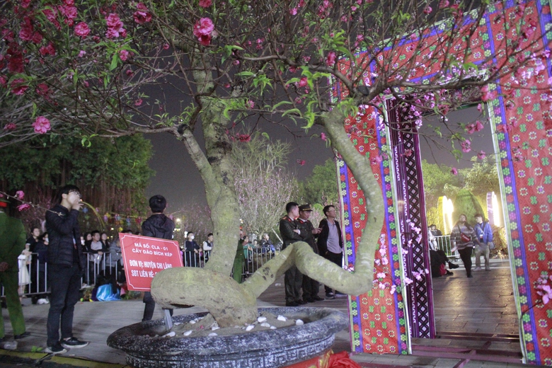 Rực rỡ Lễ hội hoa đ&agrave;o xứ Lạng- Ảnh 7.