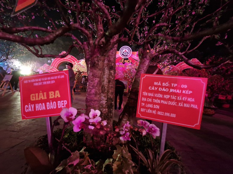 Rực rỡ Lễ hội hoa đ&agrave;o xứ Lạng- Ảnh 5.