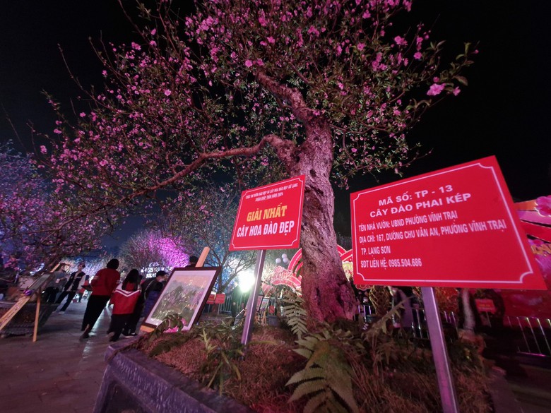 Rực rỡ Lễ hội hoa đ&agrave;o xứ Lạng- Ảnh 4.