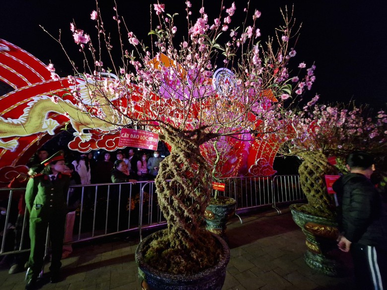 Rực rỡ Lễ hội hoa đ&agrave;o xứ Lạng- Ảnh 6.