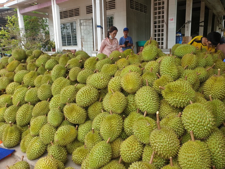 Tr&aacute;i sầu ri&ecirc;ng gi&uacute;p n&ocirc;ng d&acirc;n Cần Thơ l&ecirc;n đời như thế n&agrave;o?- Ảnh 5.