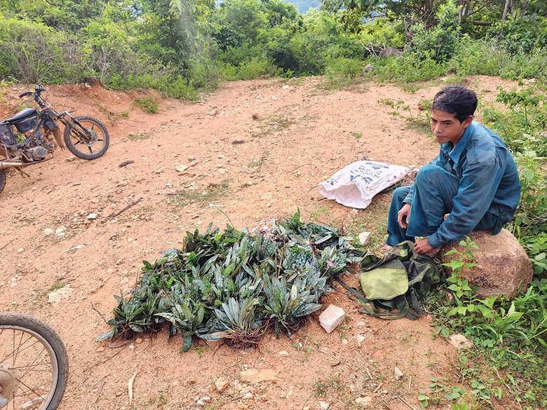 Vượt rừng săn &ldquo;kỳ hoa&rdquo; nơi đại ng&agrave;n T&acirc;y Nguy&ecirc;n- Ảnh 3.