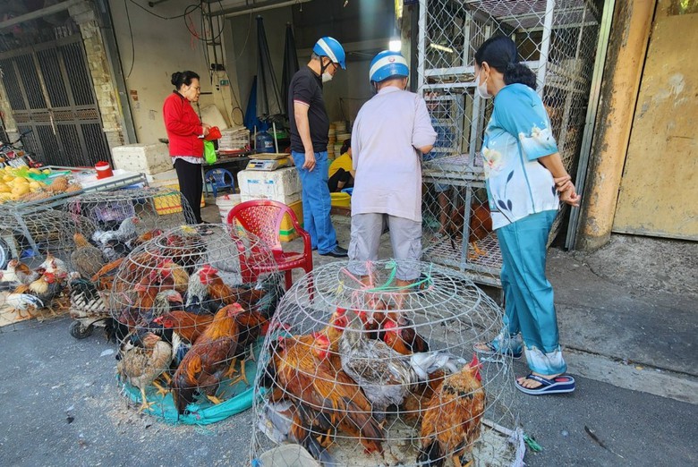 Mùng 3 Tết, chợ ở TP.HCM: Hoa và rau xanh đắt khách- Ảnh 6. Mùng 3 Tết, chợ ở TP.HCM: Hoa và rau xanh đắt khách- Ảnh 6.