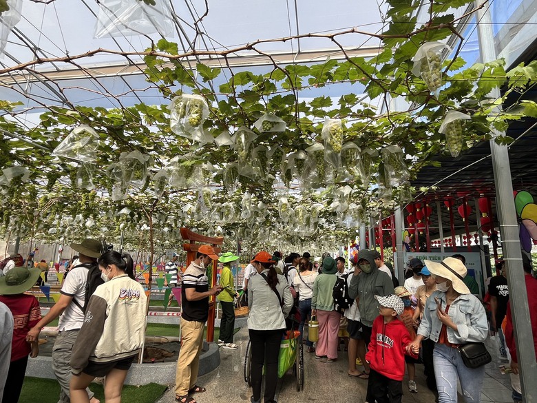 Dự kiến 7 ng&agrave;y nghỉ Tết, TP.HCM thu hơn 6.500 tỷ đồng- Ảnh 6.