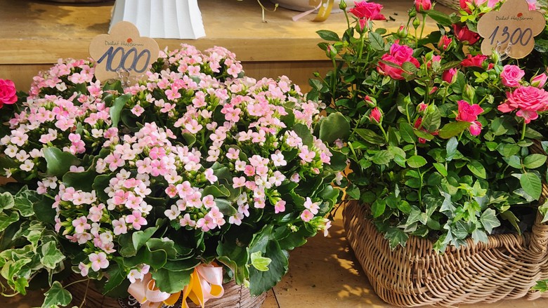 Hoa v&agrave; qu&agrave; lễ t&igrave;nh nh&acirc;n 14/2 chờ người mua- Ảnh 1.