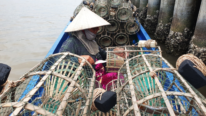 Săn cua đ&aacute; ven biển C&agrave; Mau- Ảnh 9.