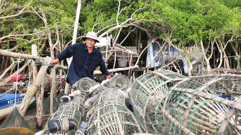 Săn cua đ&aacute; ven biển C&agrave; Mau- Ảnh 7.