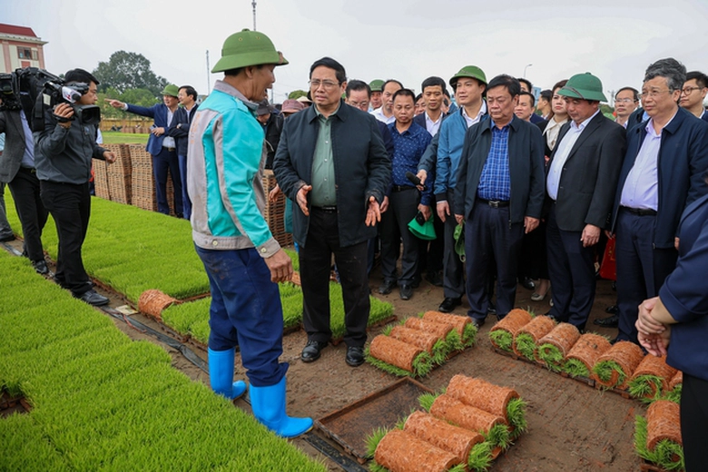 Đầu năm mới, Thủ tướng c&ugrave;ng n&ocirc;ng d&acirc;n cấy l&uacute;a, thu hoạch c&agrave; rốt- Ảnh 2.