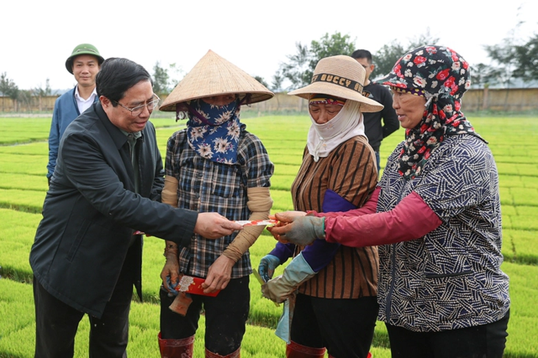 Đầu năm mới, Thủ tướng c&ugrave;ng n&ocirc;ng d&acirc;n cấy l&uacute;a, thu hoạch c&agrave; rốt- Ảnh 3.