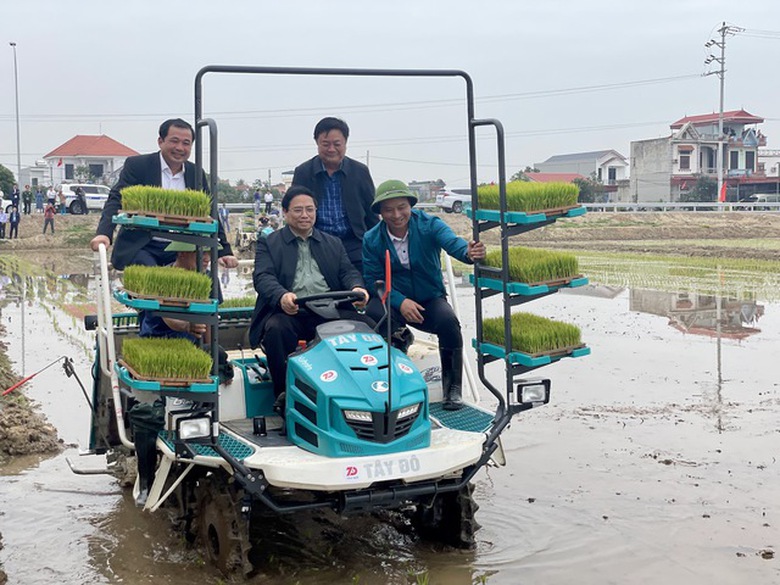 Đầu năm mới, Thủ tướng c&ugrave;ng n&ocirc;ng d&acirc;n cấy l&uacute;a, thu hoạch c&agrave; rốt- Ảnh 4.