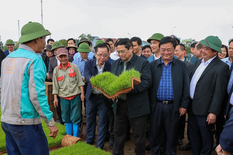 Đầu năm mới, Thủ tướng c&ugrave;ng n&ocirc;ng d&acirc;n cấy l&uacute;a, thu hoạch c&agrave; rốt- Ảnh 1.