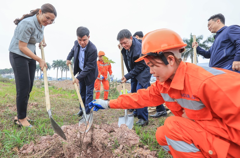 H&agrave;ng ngh&igrave;n c&acirc;y xanh được trồng dọc c&aacute;c tuyến quốc lộ sau Tết- Ảnh 1.
