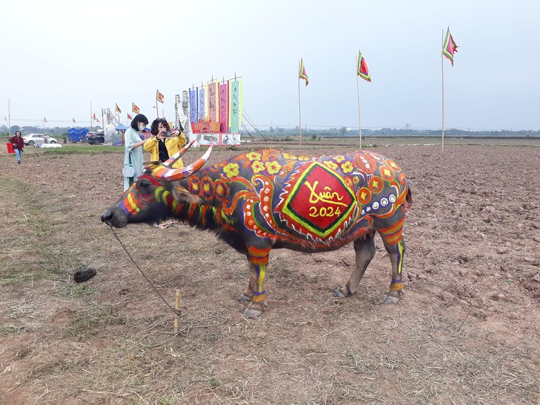 Hàng ngàn người xem vua cày ruộng tại Lễ hội Tịch điền Đọi Sơn- Ảnh 19. Hàng ngàn người xem vua cày ruộng tại Lễ hội Tịch điền Đọi Sơn- Ảnh 19.