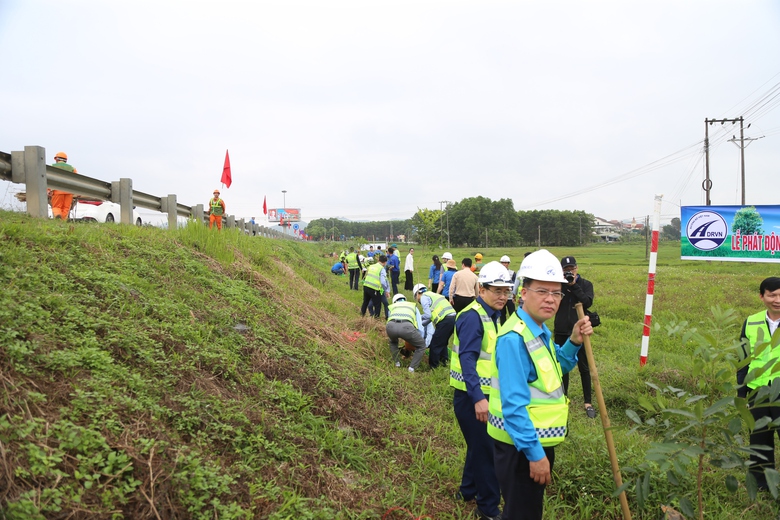 H&agrave;ng ngh&igrave;n c&acirc;y xanh được trồng dọc c&aacute;c tuyến quốc lộ sau Tết- Ảnh 6.